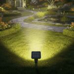 Solar spotlights