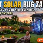 Solar bug zapper