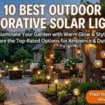 decorative solar lights