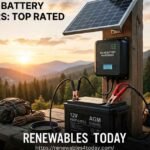 solar battery maintainer